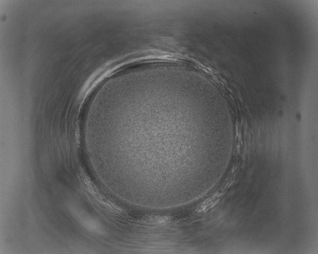 X0000056310247200508291201