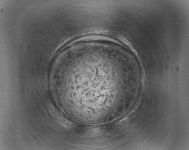 X0000056310249200508291201