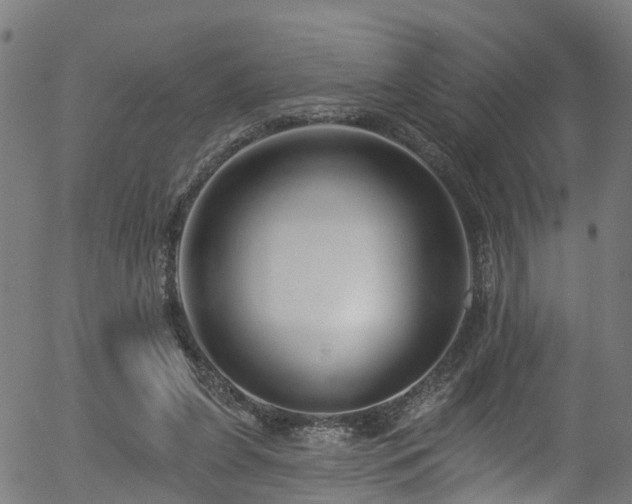 X0000056310255200508291201