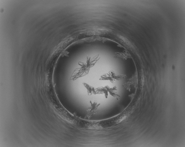 X0000056310258200508291201