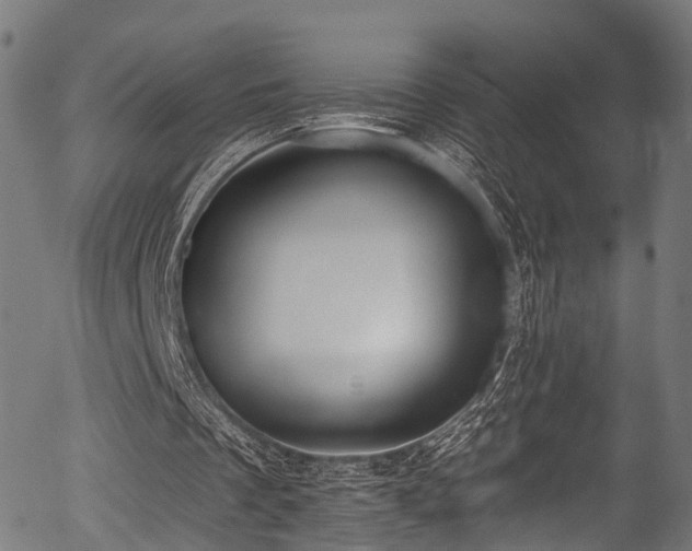 X0000056310289200508291200