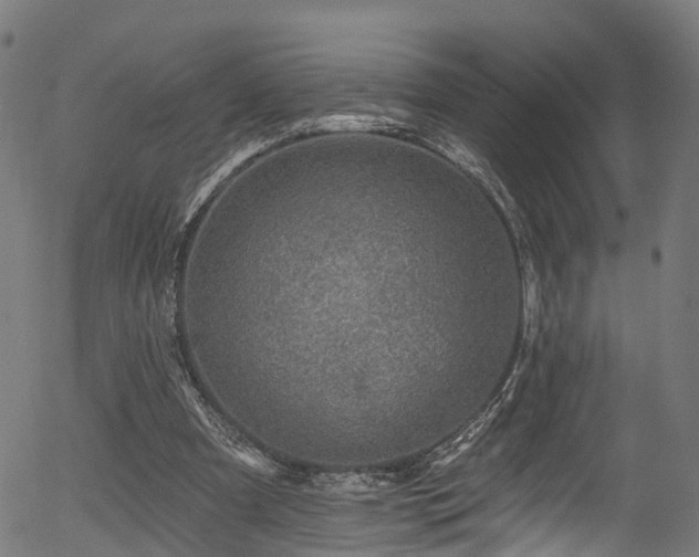 X0000056310297200508291200