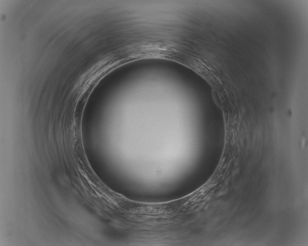 X0000056310338200508291159