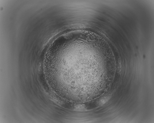 X0000056310355200508291159