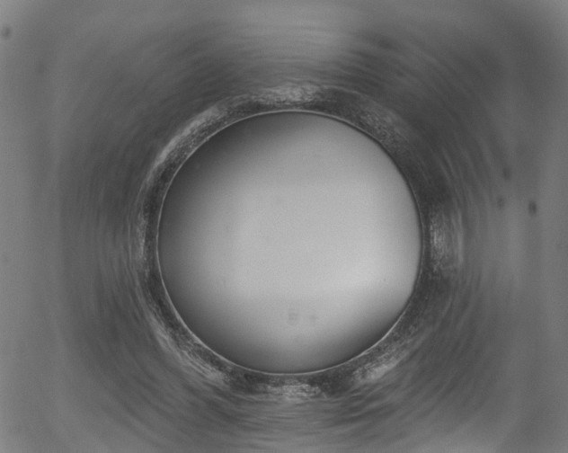 X0000056310396200508291159