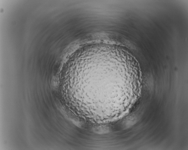 X0000056310431200508291158