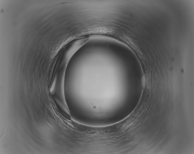X0000056310434200508291157