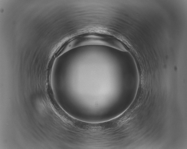 X0000056310438200508291157