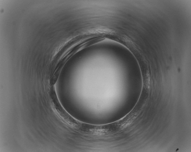 X0000056310448200508291157