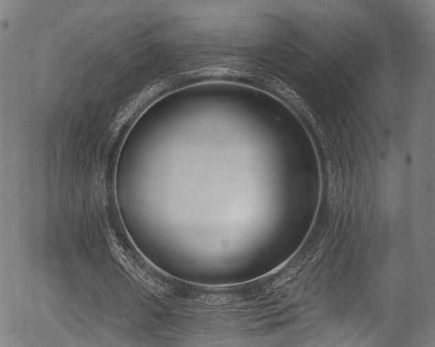 X0000056310482200508291157