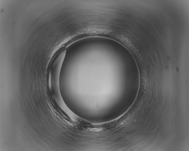 X0000056310488200508291157