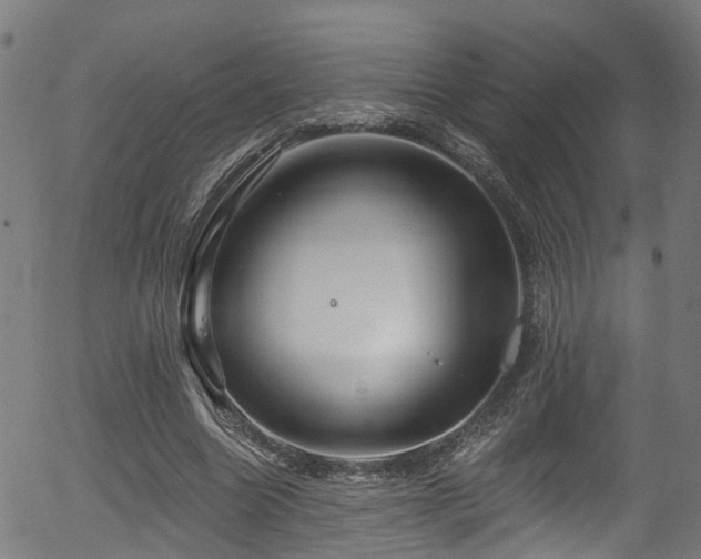 X0000056310538200508291156