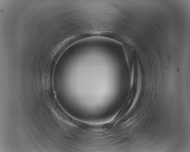 X0000056310540200508291156