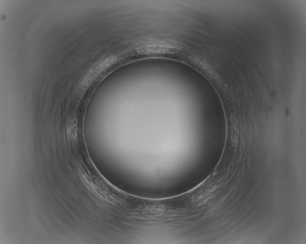 X0000056310631200508291154
