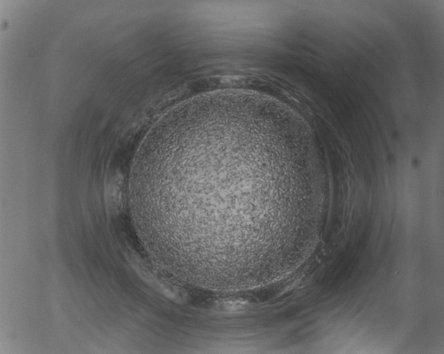 X0000056310650200508291154