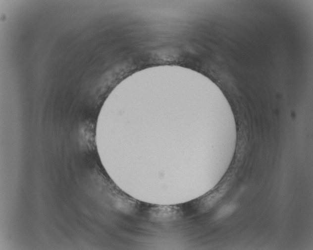X0000056310672200508291155