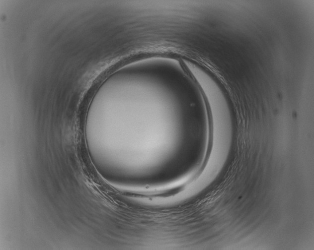 X0000056310724200508291152