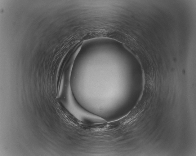 X0000056310818200508291151