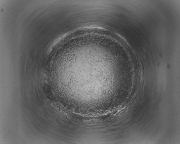 X0000056310823200508291151