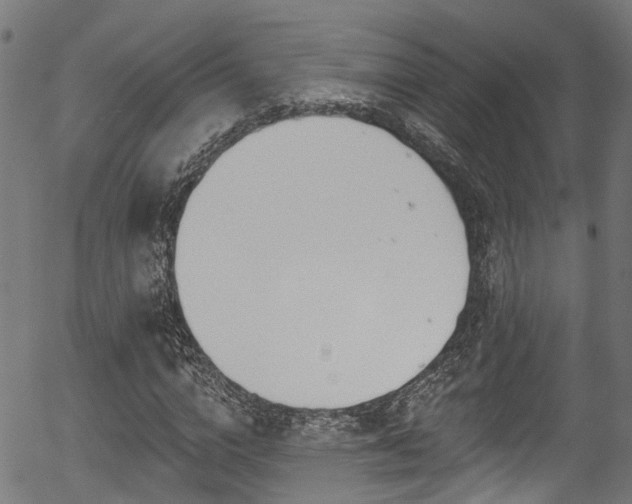 X0000056310824200508291151