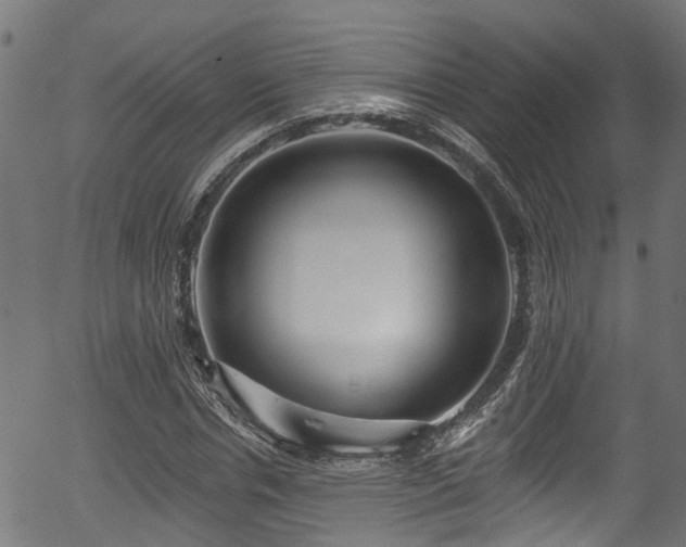 X0000056310826200508291151