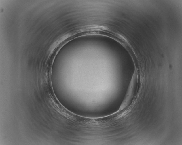 X0000056310827200508291151