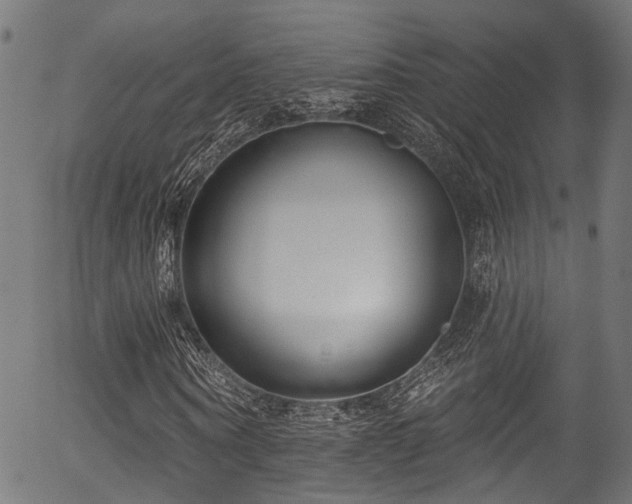 X0000056310866200508291151