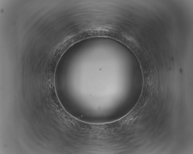 X0000056310870200508291151