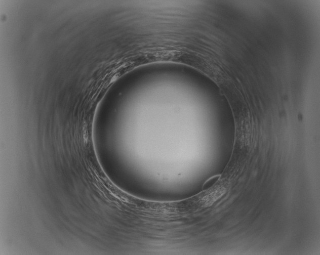 X0000056310962200508291149