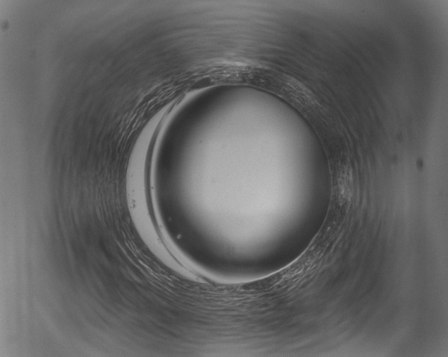 X0000056310964200508291149