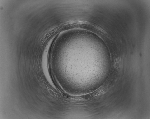 X0000056310966200508291149