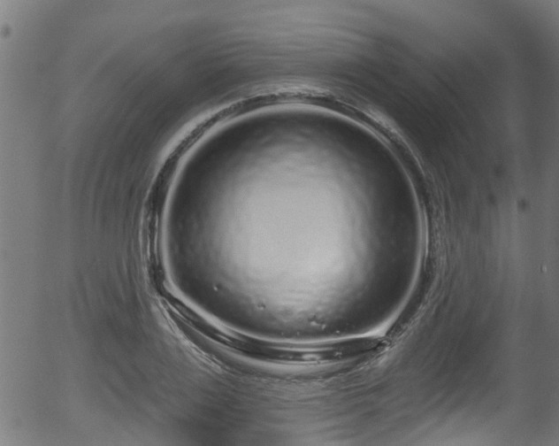 X0000056310983200508291149