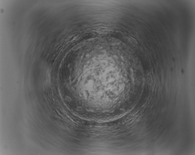 X0000056311009200508291147
