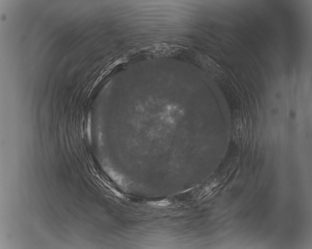 X0000056311010200508291147