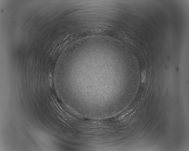 X0000056311011200508291147