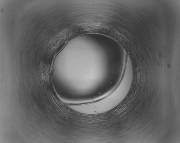 X0000056311012200508291147