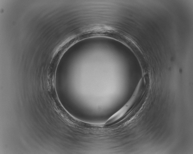 X0000056311018200508291148