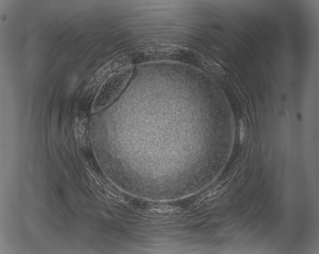 X0000056311059200508291147