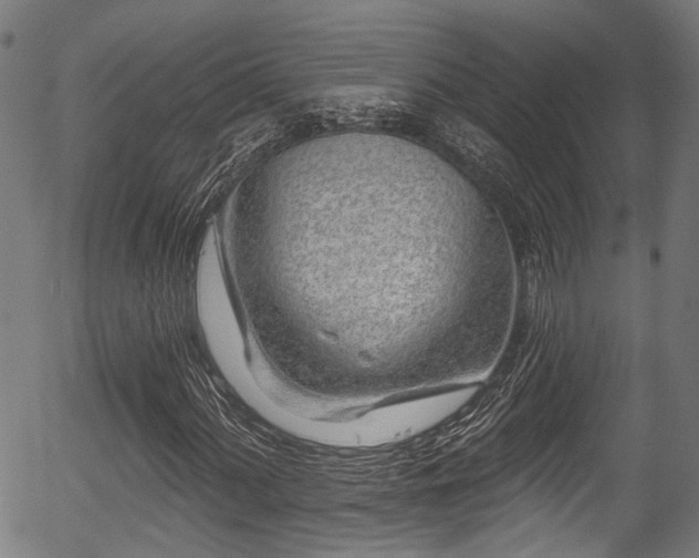 X0000056311060200508291147