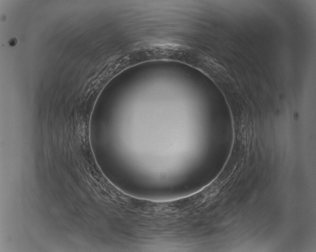 X0000056311061200508291147