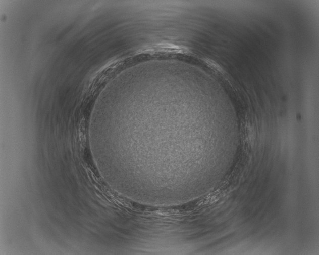 X0000056311063200508291147