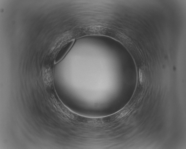 X0000056311107200508291146