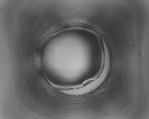 X0000056311108200508291146