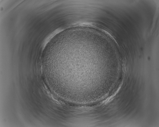 X0000056311117200508291146