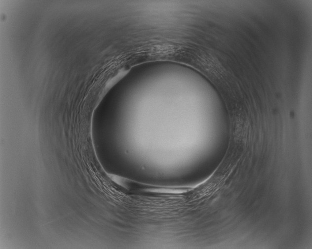 X0000056311153200508291146