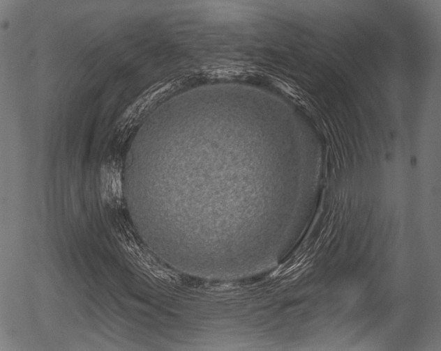 X0000056311155200508291146
