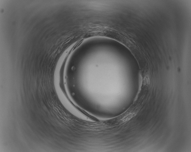X0000056311156200508291146