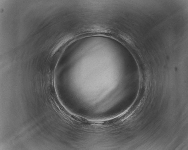 X0000056311163200508291146
