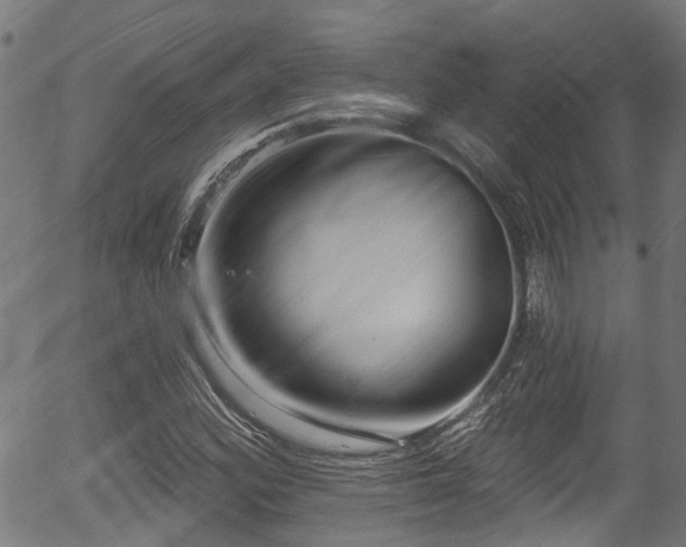 X0000056311164200508291146