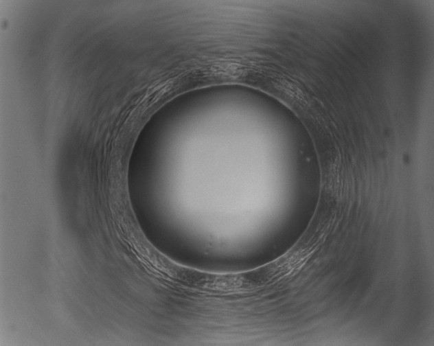 X0000056311201200508291144